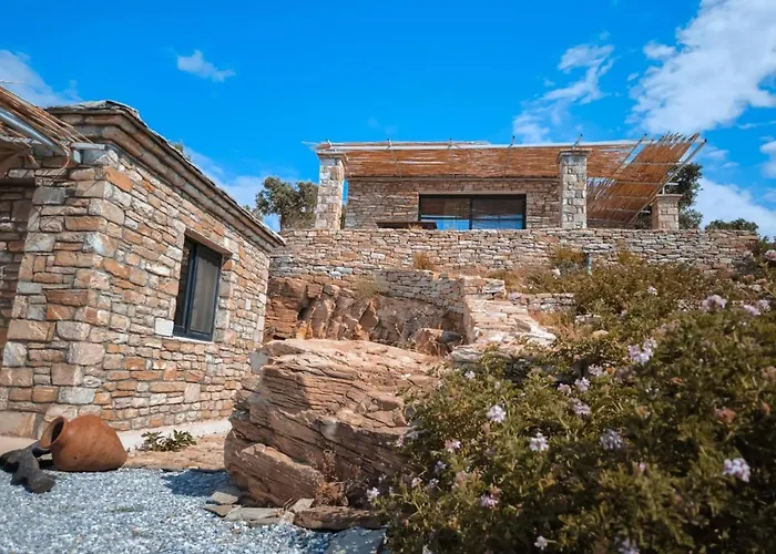 Aliky Art ヴィラ *